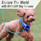 BARKBAY No Pull Dog Harness Front Clip Heavy Duty Reflective Easy Control Handle for Large Dog Walking(Sapphire Blue & Blue,XS)