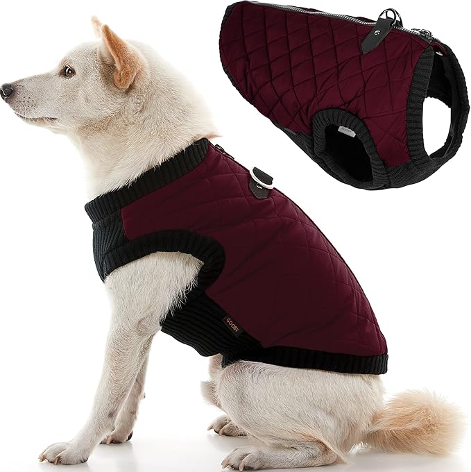 Gooby Fashion Vest Dog Jacket - Purple, Large - Warm Zip Up Dog Bomber Vest with Dual D Ring Leash Water Resistant for Small to Medium Dogs