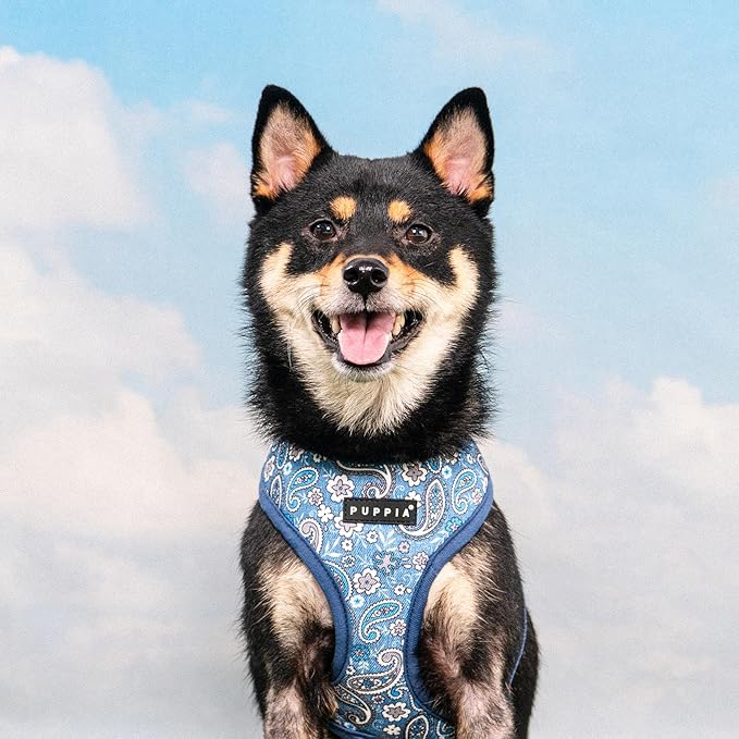 Puppia Cynthia Dog Harness A (Over-The-Head) Fashionable Paisley Pattern Spring Summer Harness for Small and Medium Dogs, Blue, Small