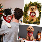 Christmas Dog Bandanas Naughty & Nice Idea Funny Holiday Stocking Pet Scarf Gifts - Too Cute for the Naughty List, Red Plaid, Medium & Large Breed, 25-75lbs