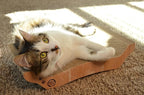 Necoichi Cardboard Cat Scratcher Couch for Indoor Cats - Cat Scratching Board, Horizontal Cat Scratch Pad Lounger with Reversible Usability and Extra Comfort for Lounge, Curved (17" Regular, Oak)