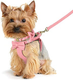 Beirui Adorable Small Dog Harness Collar and Leash Set,Cute XXS Puppy Harness Set with 3 Bows for Tiny Dogs,Chihuahua,Adjustable Step-in Vest for Daily Walking,Parties&Holiday Outfits(Pink,XXS)