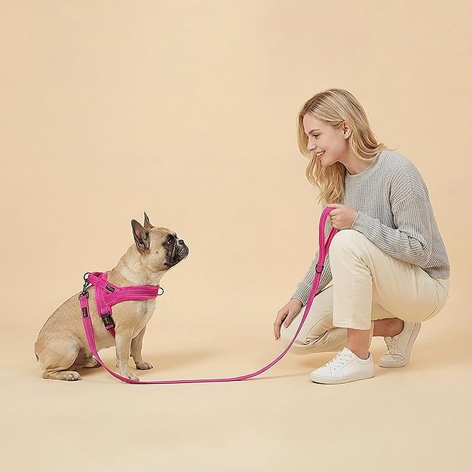 Didog Soft Flannel Padded Dog Vest Harness, No Pull/Quick Fit Reflective Dog Strap Harness, Easy for Training Walking (XXS:Chest 12-15", Hot Pink)