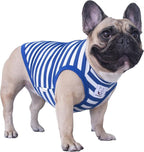 iChoue English Bulldog 100% Breathable Cotton Striped T Shirts Halloween Vest Clothes for Medium Dogs Tank Tops French Frenchie Pug Boston Terrier Pitbull White Blue Stripes - XLarge