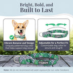 Lucky Love Dog Martingale Collar, Premium No Slip Martingale Collar for Small Boy Dogs, Great for Whippets, Greyhounds, and More (Small, Blue Laguna)