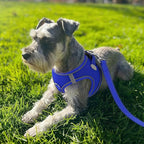 Joytale Small Dog Harness, Breathable Mesh Step-in Vest, Reflective Soft Padded Harnesses for Cats and Puppies Dogs, Navy Blue, XXXS