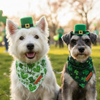 ADOGGYGO St Patricks Day Dog Bandana, Green Shamrock Pet Scarf, Premium Fabric, St Patrick Bandanas for Small Dogs (Small)