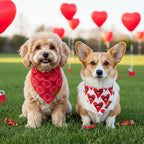 ADOGGYGO Valentines Dog Bandana 2 Pack, Heart Sunburst Eyelash Print Puppy Scarf, Durable Fabric, Red Pink Valentine Bandanas for Small Dogs (Small)