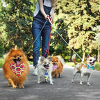 Hosuly 50 Pcs Tie Dye Style Dog Bandana Collar Set Include 10 Bow Tie 10 Necktie Collar 10 Pet Scarf 10 Bow Flowers 10 Hexagonal Bowtie Cat Dog Grooming Accessories for Festival Photography