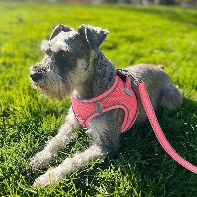 Joytale Small Dog Harness, Breathable Mesh Step-in Vest, Reflective Soft Padded Harnesses for Cats, Puppies and Extra Small Dogs, Pink, XXS