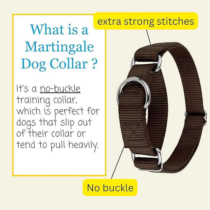 Country Brook Petz - Martingale Dog Collar - Heavy-Duty Training Collar with No Buckle - Service Dog Collar for All Pups - 10+ Warm Colors (Brown, 1 Inch, Extra Large)