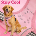 Funfox Dog Harness Medium No Pull, Adjustable 2 Clips Anti-Pull Vest with Practical Handle, Breathable Padded Pet Harness Designed for Small/Large Breeds, Reflective Training Walking Pink M