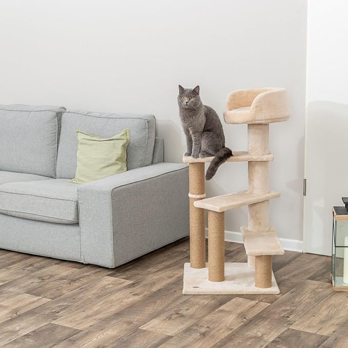 TRIXIE Tulia Senior Cat Tower with Scratching Posts, Four Platforms, Top Platform with Backrest, Beige Medium