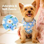BAEJMJK Dog Harness and Leash Set with Bow Knot No Pull Pet Daisy Floral Harness with D-Ring Soft Mesh Dog Harness Vest Set Escape Proof Princess Puppy Harness for Small Girl Dogs Cats（Blue B M）