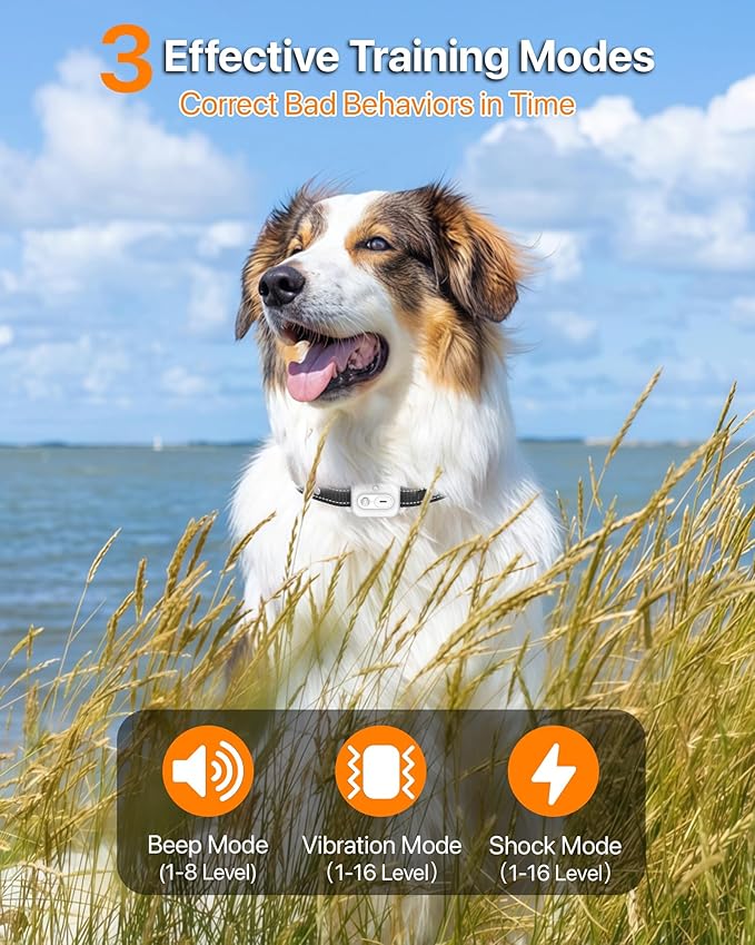 Dog Training Collar with Remote Control, 3300FT Rechargeable Shock Dog Training Collar for Small Medium Large Dogs, IPX7 Waterproof & 4 Safe Modes Flashlight Beep Vibration Shock