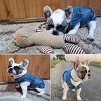 Dog Jean Jacket, Blue Denim Lapel Vest Coat T-Shirt Costume Cute Girl Boy Puppy Clothes, Comfort and Cool Apparel, for Small Medium Dogs Cats, Machine Washable Outfits (Small, Blue)