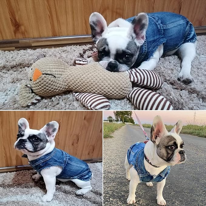 Jean Jacket, Blue Denim Lapel Vest Coat T-Shirt Costume for Small Medium Dogs Cats, Cute Girl Boy Puppy Clothes, Comfort and Cool Apparel, Machine Washable Outfits (L, Blue)