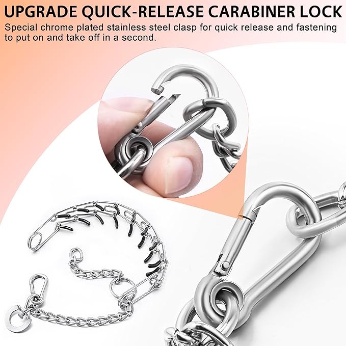 Stainless Steel Dog Training Collar, Quick Release Buckle, Adjustable Collar for Small Dogs Neck Girth 8.5"-10.5"