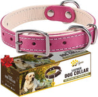 ADITYNA Heavy-Duty Pink Leather Dog Collar for Small Dogs - Soft Padded for Comfort - Girl Dog Collar for Walking, Training, and Hiking