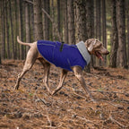 Lelepet Warm Dog Winter Coat Waterproof Dog Jacket with Adjustable Buckle & Leash Hole Reflective Pet Fleece Snowsuit Turtleneck Windproof Cold Weather Coats, Blue, M