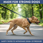 Spark Paws Martingale Dog Collar – Cushioned Slip-On Training Collar, Heavy Duty, Safety-Tested No-Buckle Collar for Medium & Large Dogs - Black - C