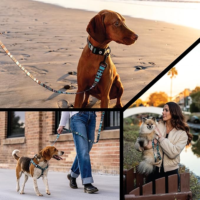 Wolfgang Heavy Duty Dog Leash, Pull-Tested for Walking & Training, WesternSky Print, Large