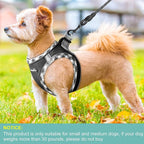 haapaw Dog Harness with Leash Set, No Pull Adjustable Reflective Step-in Puppy Harness with Thickened Padded Vest for Extra-Small/Small Medium Dogs