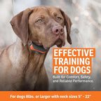 SportDOG SportTrainer Remote Trainer - Reliable Off-Leash Control - OLED Screen - Waterproof Dog Training Collar - Rechargeable E-Collar - 500-Yard Range - Orange