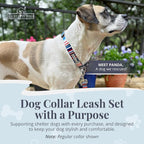 Lucky Love Dog Martingale Dog Collar & Leash - Adjustable, No-Slip, Durable, Comfortable, Soft Webbing, & Stylish Patterned Dog Collar & Leash Set for Male and Female Dogs - Linus Combo, Medium