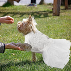 ASENKU Dog Dress, Dog Wedding Dress, Pet Lace Princess Dress with Bows for Wedding Birthday Party, Puppy Formal Apparel with Pearl Necklace for Small Dogs (White, Small)