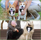 Dog Tuxedo Suit, Bandana Collar with Bow Tie, Doggy Prince Bow Tie Shirt Formal Pet Wedding Attire, Dog Outfits for Large Dogs, Dogs Adjustable Bows Ties for Wedding Birthday Valentines (L, Black)