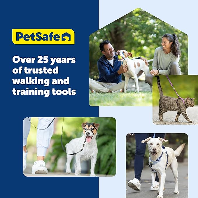 PetSafe Easy Walk No-Pull Dog Harness - The Ultimate Harness to Help Stop Pulling - Take Control & Teach Better Leash Manners - Helps Prevent Pets Pulling on Walks, Medium, Apple Green/Gray