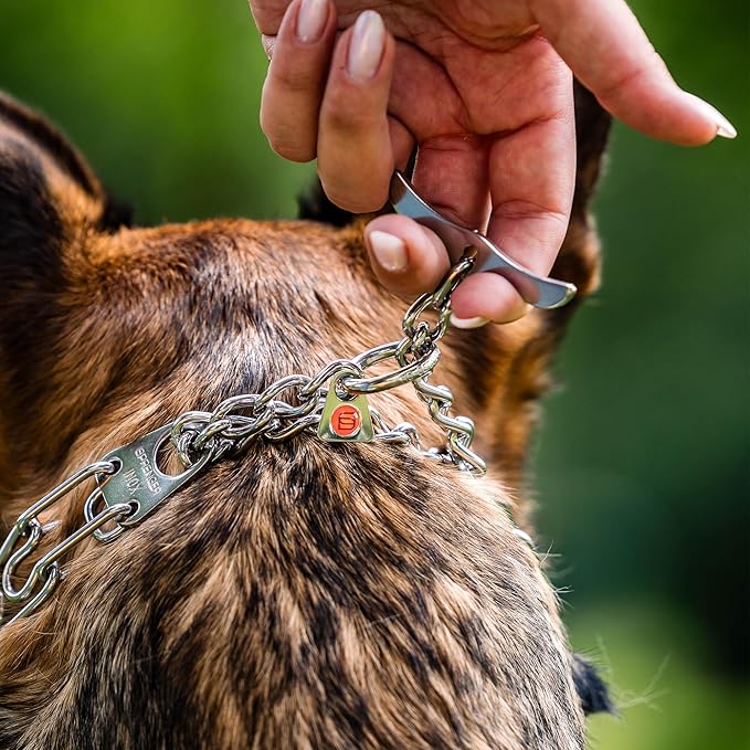 Herm. Sprenger Ultra-Plus Prong Dog Training Collar, Anti Pull Training Pinch Collar, (Stainless Steel, 3.0 mm Short Links x 18" Neck Size; 19-20" Chain Length) - Toggle Version