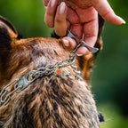 Herm. Sprenger Ultra-Plus Prong Dog Training Collar, Anti Pull Training Pinch Collar, (Stainless Steel, 3.0 mm Short Links x 18" Neck Size; 19-20" Chain Length) - Toggle Version