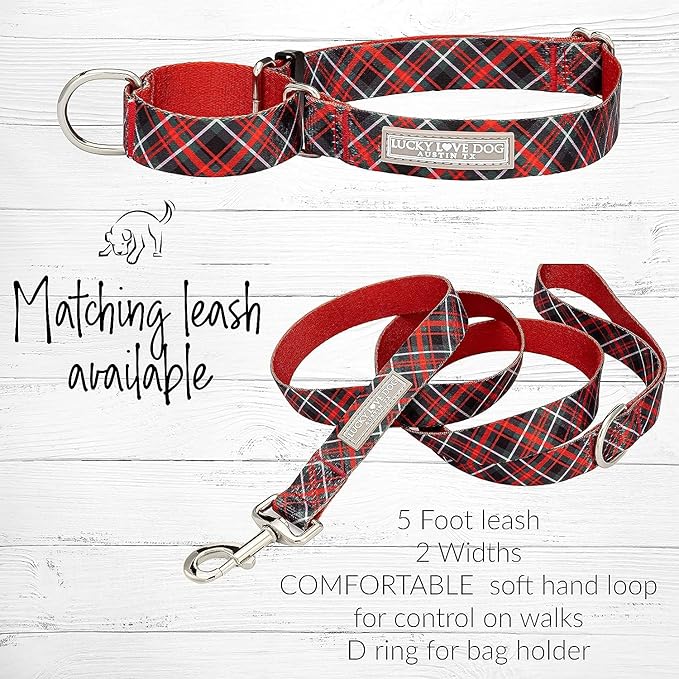 Lucky Love Dog Martingale Dog Collar & Leash - Adjustable, No-Slip, Durable, Comfortable, Soft Webbing, & Stylish Patterned Collar & Leash Set for Male and Female Dogs - Heywood Combo, Small
