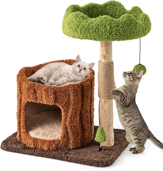 Tangkula Solid Wood Cat Tree, Natural Branch Cute Kitten Tower with Jute Scratching Post & Mat, Tree Hole Condo, Bed, Perch, Dangling & Spring Balls, Small Cat Climbing Stand for Indoor Cats & Kittens