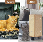 Newwiee 2 Pcs 23.6 x 15.7 Inch Couch Cat Scratch Protector Sofa Cat Scratching Mat with Helical Nails, Protector Pads for Pet Indoor Furniture Sofa Couch Covers Carpet