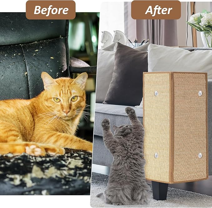 Newwiee 2 Pcs 23.6 x 15.7 Inch Couch Cat Scratch Protector Sofa Cat Scratching Mat with Helical Nails, Protector Pads for Pet Indoor Furniture Sofa Couch Covers Carpet