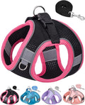 Dog Harness for Small Medium Sized Dog, Step in Puppy Harness and Leash Set Training Walkings. (Black, M)