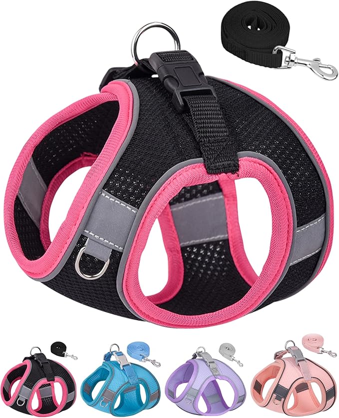 Dog Harness for Small Medium Sized Dog, Step in Puppy Harness and Leash Set Training Walking. (Black, L)
