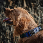 OneTigris Tough Dog Collars, Tactical Dog Collar with Handle, Milltary Adjustable Dog Collar with Heavy Duty Metal Buckle for Training (Large,Blue)