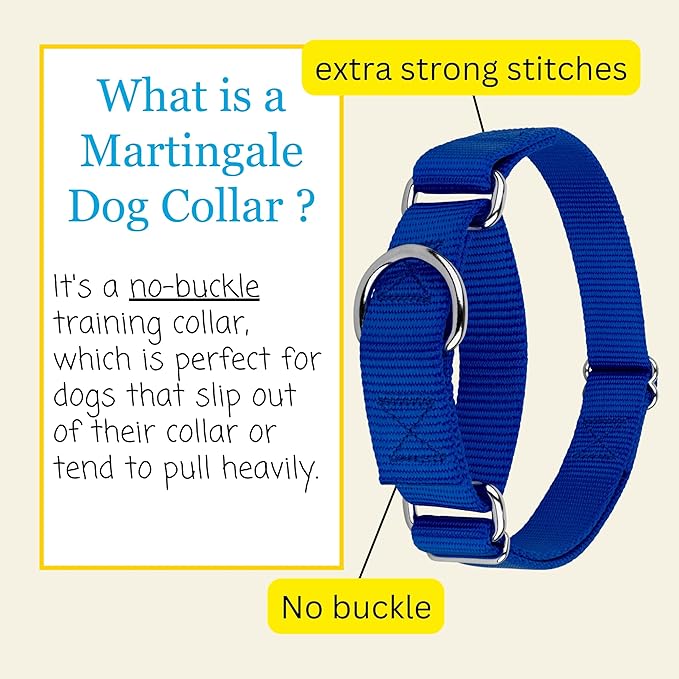 Country Brook Petz - Martingale Dog Collar - Heavy-Duty Training Collar with No Buckle - Service Dog Collar for All Pups - 10+ Cool Colors (Royal Blue, 5/8 Inch, Extra Small)
