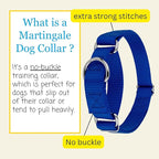 Country Brook Petz - Martingale Dog Collar - Heavy-Duty Training Collar with No Buckle - Service Dog Collar for All Pups - 10+ Cool Colors (Royal Blue, 1 Inch, Extra Large)