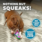 Outward Hound Durablez Minis – Squeaky Plush Dog Toy, No Stuffing for Less Mess, Interactive & Tough, Jumbo Squeaker, Puppies & Small Dogs, Owl, 5.8"