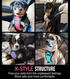 Pawaboo Breathable Dog Seat Belt Harness for Car, Adjustable Dog Safety Vest Harness with Vehicle Connector Strap, M, Black + Silver