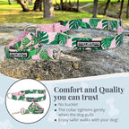 Lucky Love Dog Martingale Dog Collar & Leash - Adjustable, No-Slip, Durable, Comfortable, Soft Webbing, & Stylish Patterned Collar & Leash Set for Male and Female Dogs - Laguna Mart Combo, Small