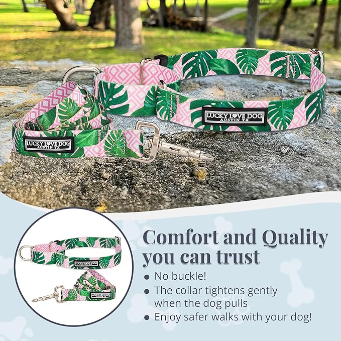 Lucky Love Dog Martingale Dog Collar & Leash - Adjustable, No-Slip, Durable, Comfortable, Soft Webbing, & Stylish Patterned Collar & Leash Set for Male and Female Dogs - Laguna Mart Combo, Small
