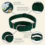 Country Brook Petz - Martingale Dog Collar - Heavy-Duty Training Collar with No Buckle - Service Dog Collar for All Pups - 10+ Cool Colors (Green, 3/8 Inch, 3XS)