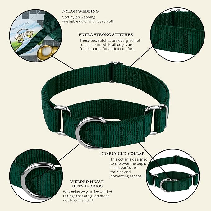 Country Brook Petz - Martingale Dog Collar - Heavy-Duty Training Collar with No Buckle - Service Dog Collar for All Pups - 10+ Cool Colors (Green, 3/8 Inch, 3XS)