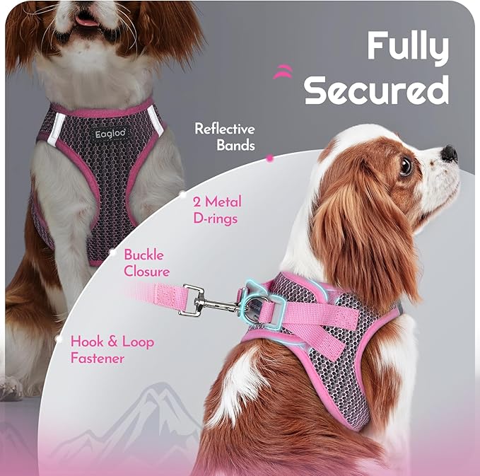Eagloo Small Dog Harness and Leash Set, Step in Puppy Vest with Breathable Soft Mesh, Walking Reflective Pet Harness for Small Dogs, Pink, S